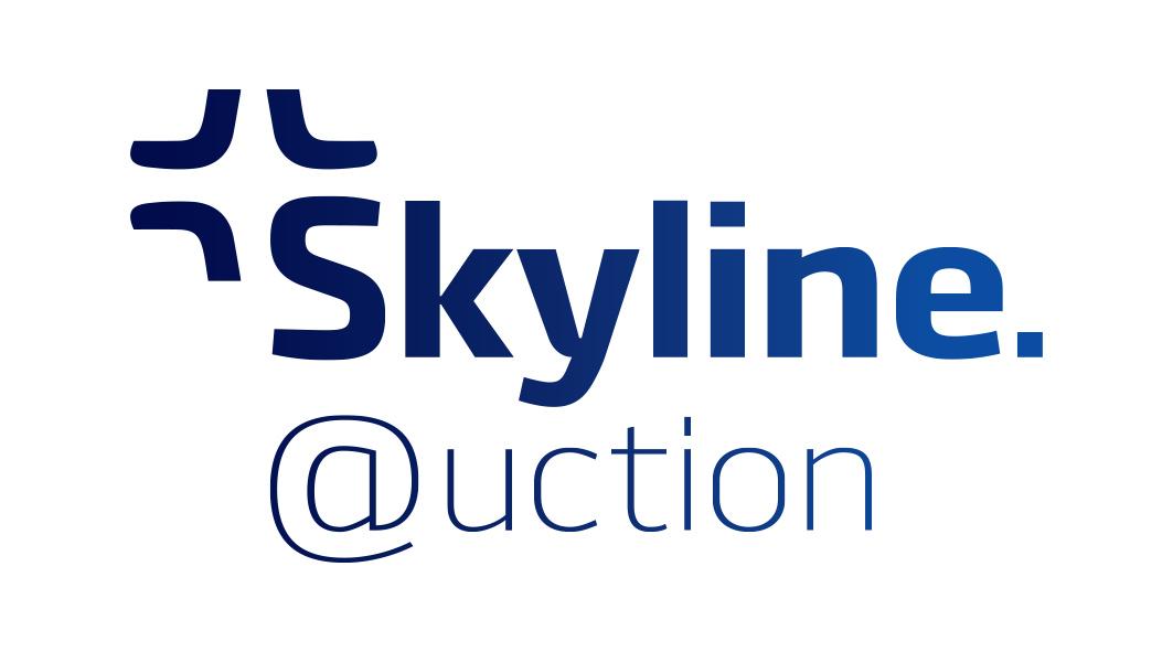https://skyline-auction.com.ua